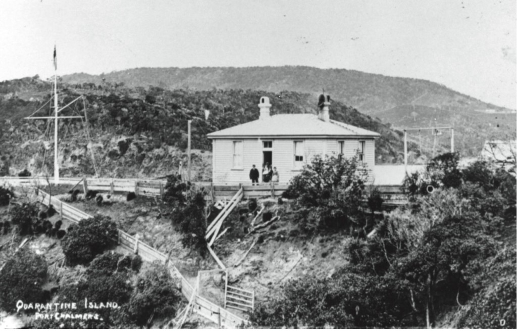 Quarantine Island Kamau Taurua