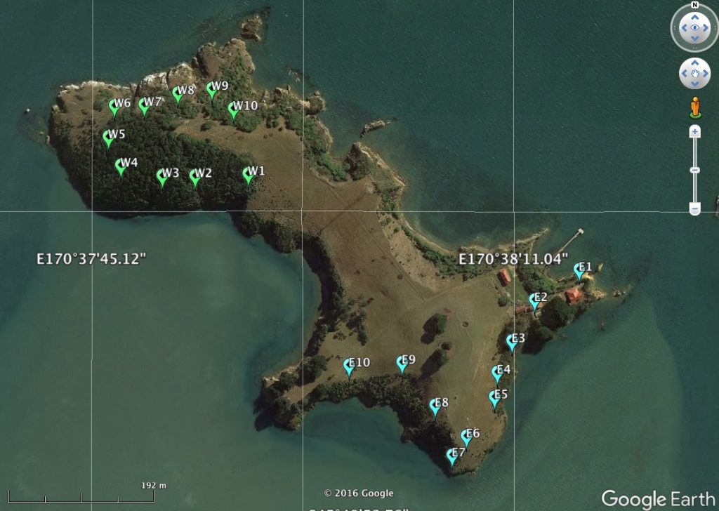 Quarantine Island Kamau Taurua