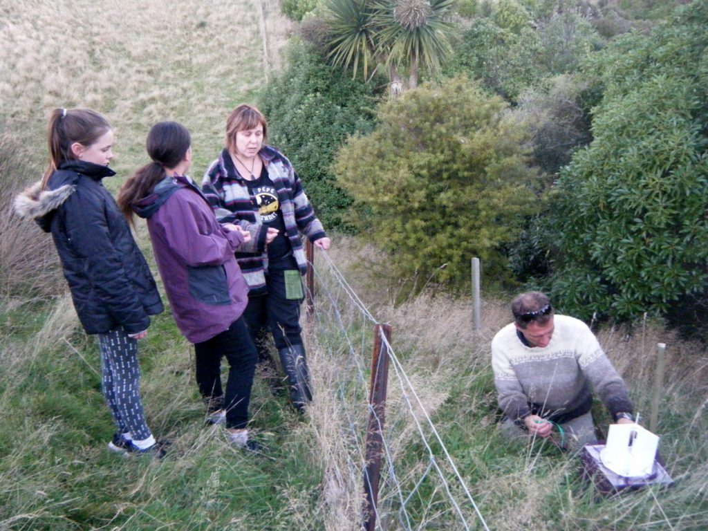 Quarantine Island Kamau Taurua