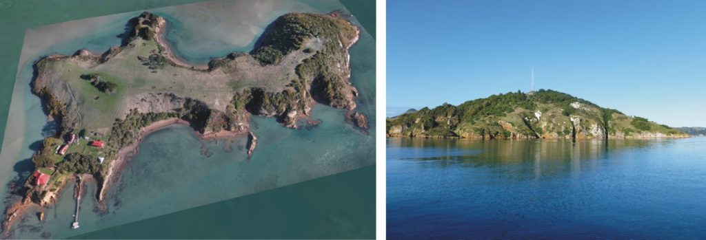 Quarantine Island Kamau Taurua